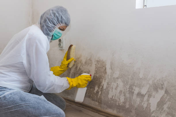 Best Mold Cleaning Services  in St Helens, OR