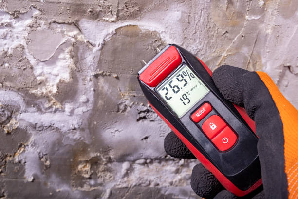 Trusted St Helens, OR Mold Removal Experts