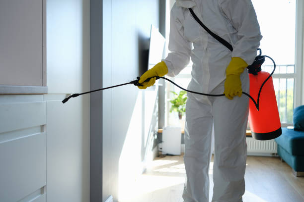 Best Mold Remediation  in St Helens, OR