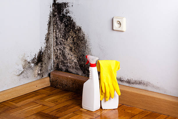 Water Damage Restoration in St Helens, OR
